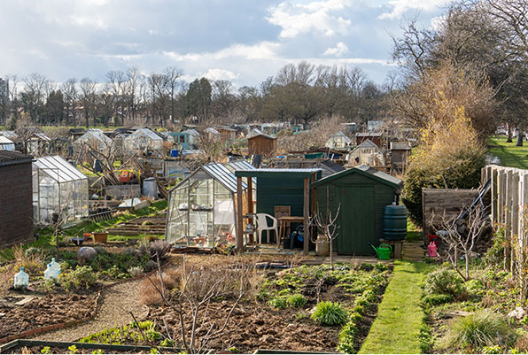 community gardens irrigation background