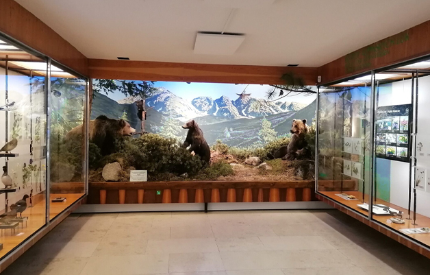 background picture background picture