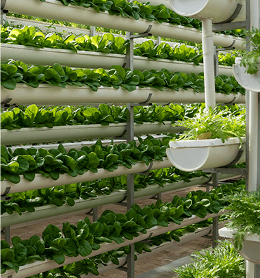 temperature and humidity monitoring smart agriculture