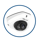 Vandal-proof Mini Dome Camera