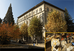 case natural history case natural history