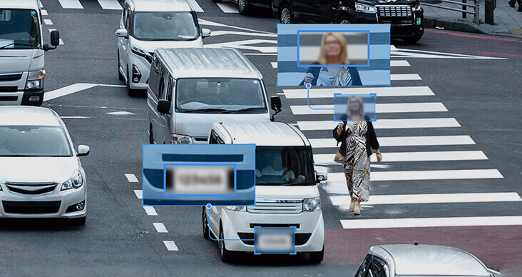 masking of license plates and faces