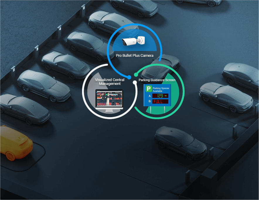 integrated outdoor parking management detection