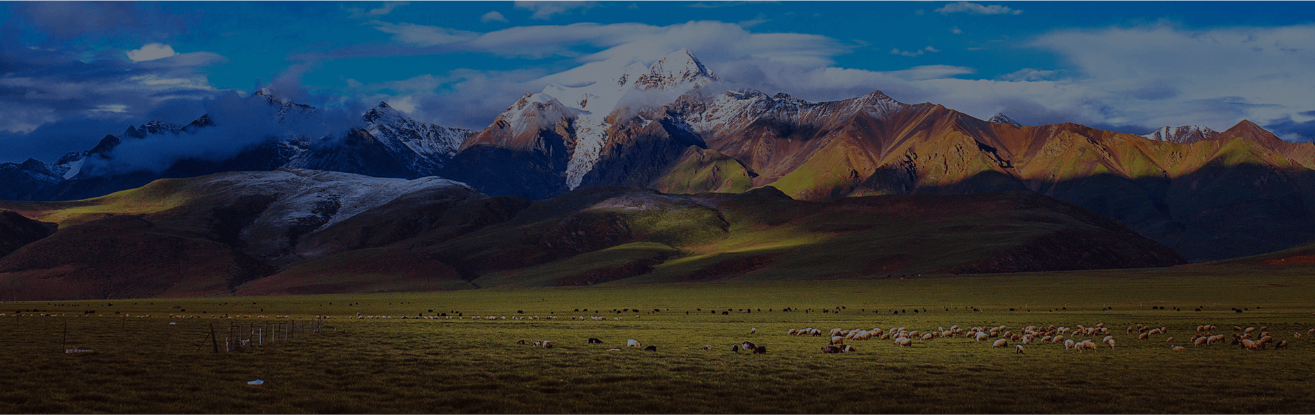 bg steppe