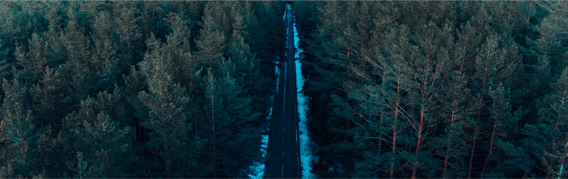 bg woods