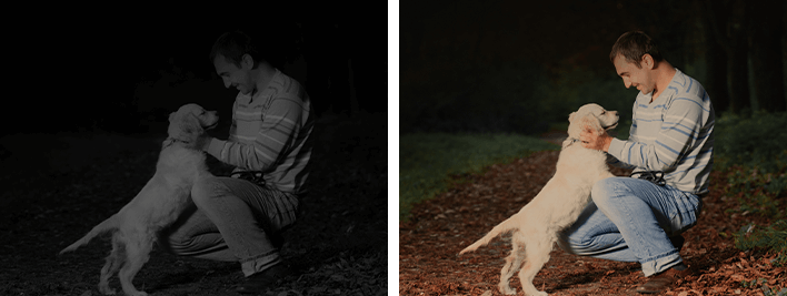 color+ for colorful image performance