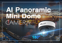 panor dome