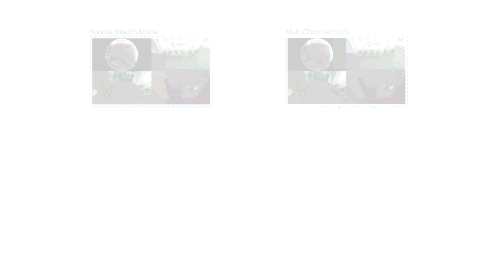 mode Milesight Fisheye Camera Pro,Two Kinds of Compatible Modes