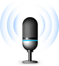 size mic