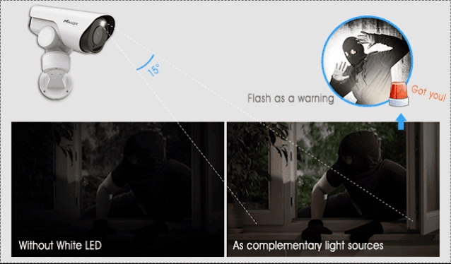ptz bullet catch a thief with motion detection function