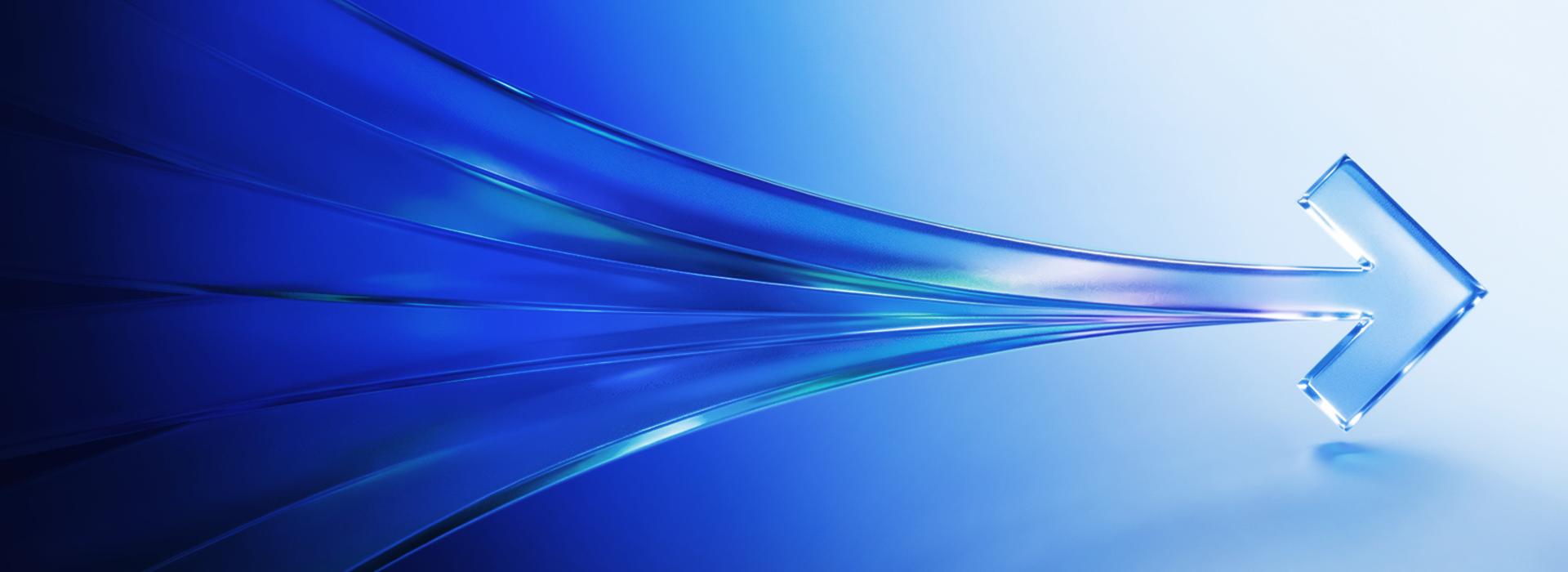 banner bg banner bg