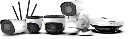 video surveillance image
