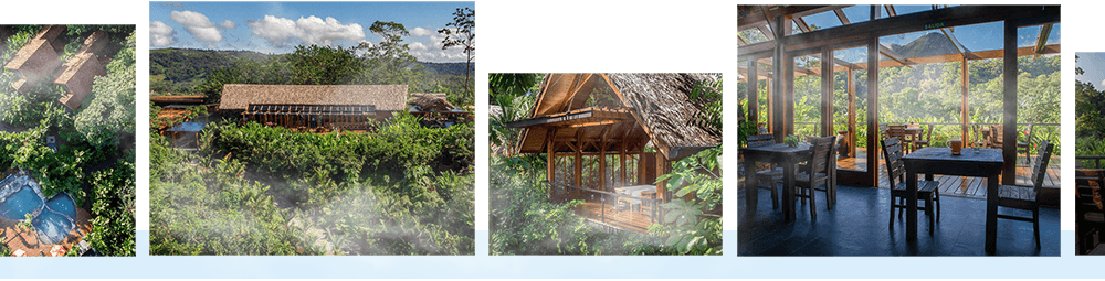 performance Milesight security camera give brilliant performance in the Rainforest hotel