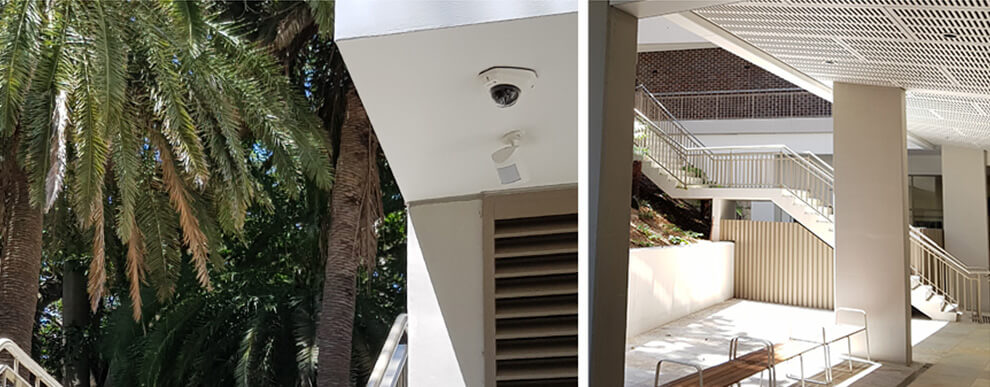 blend vandal-proof mini dome camera in outside