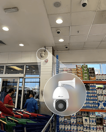 shopping mall speed dome