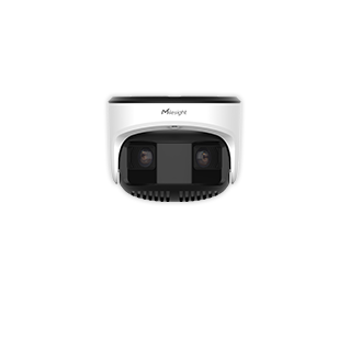 dual sensor
