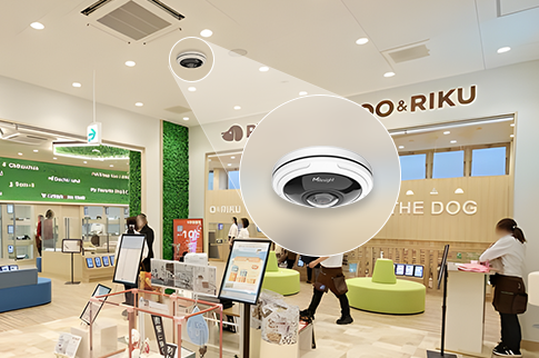 solution 01 solution 01