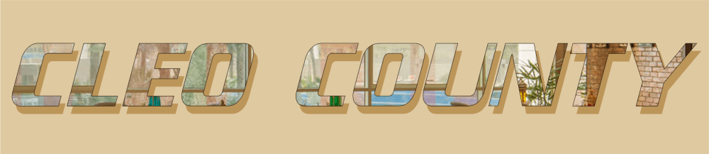 2 the name of cleo county