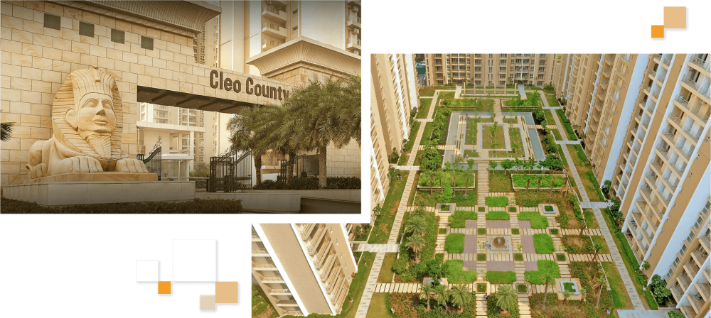 the inside view of cleo county