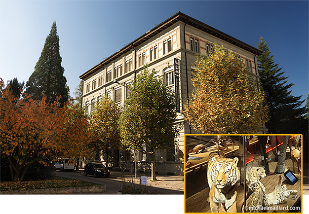 1 Natural History Museum of Fribourg