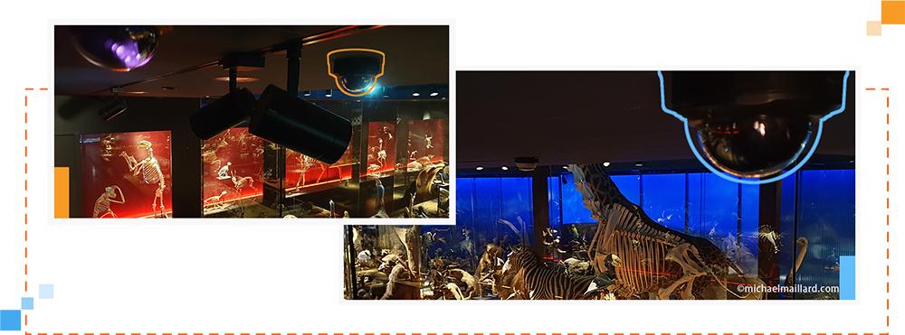 3 Milesight pro dome secures Natural History Museum of Fribourg