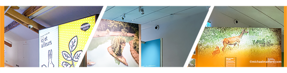 Milesight Motorized Pro Dome Network Camera secures Natural History Museum of Fribourg