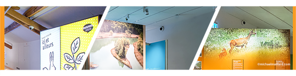 4 Milesight Motorized Pro Dome Network Camera secures Natural History Museum of Fribourg