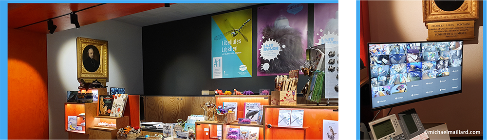 5 Milesight security system secures Natural History Museum of Fribourg