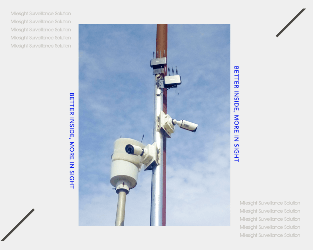 a Milesight Mini Bullet Cameras