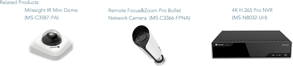 IR mini dome camera, bullet camera, Pro NVR
