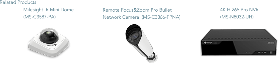 products IR mini dome camera, bullet camera, Pro NVR