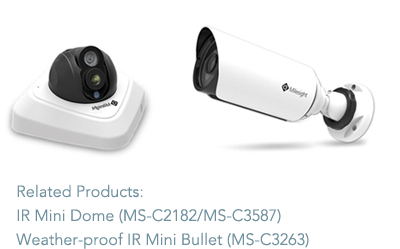 products milesight pro nvr 8000 and School Security Guard