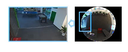 Decoding Capacity, AI Fisheye Camera