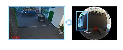 decoding Decoding Capacity, NDAA Fisheye Camera