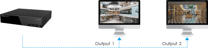 Multi-video Output