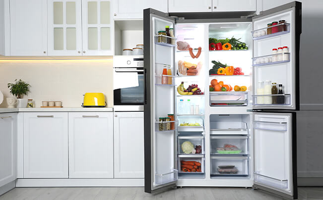 fridge 2