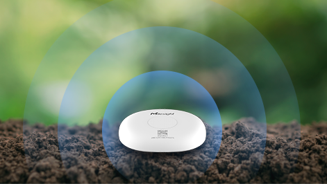 compost temeprature monitoring