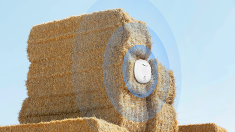hay temperature monitoring