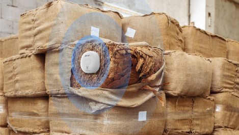 tobacco stack temperature monitoring