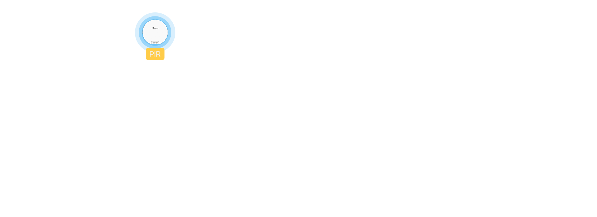 pir pir
