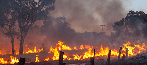 fire monitoring