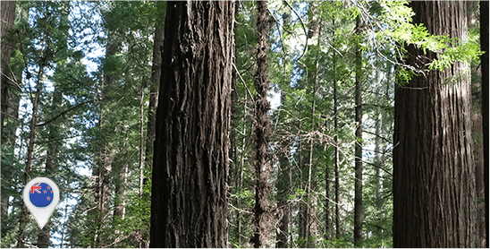 smart city case2 smart city case2