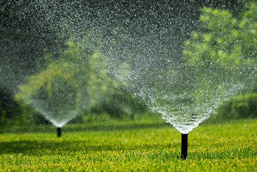 urban green space management