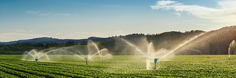 background 6 background 6