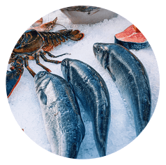 food storage temperature monitoring