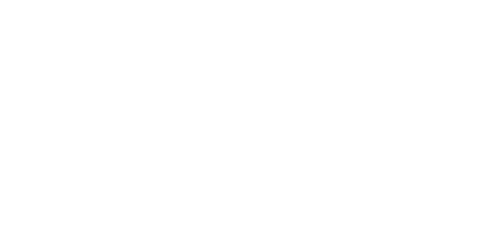 icon1