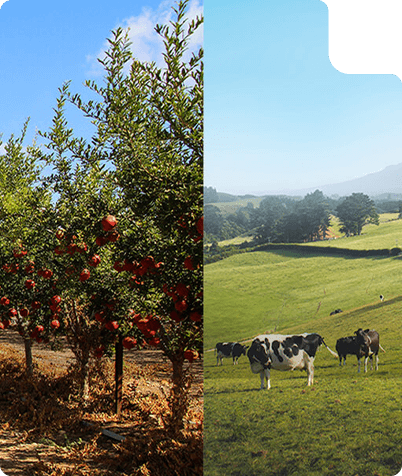 farm security farm security