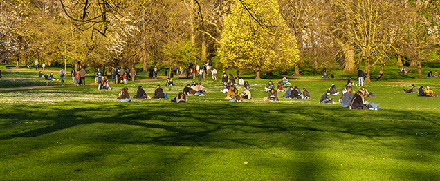 fusionxpert panoramic solution