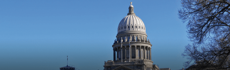 government government