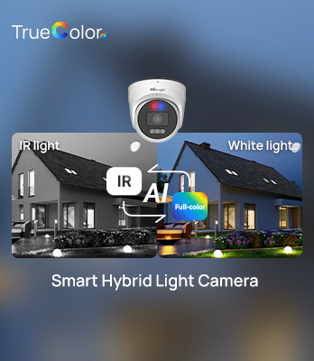 hybrid light camera
